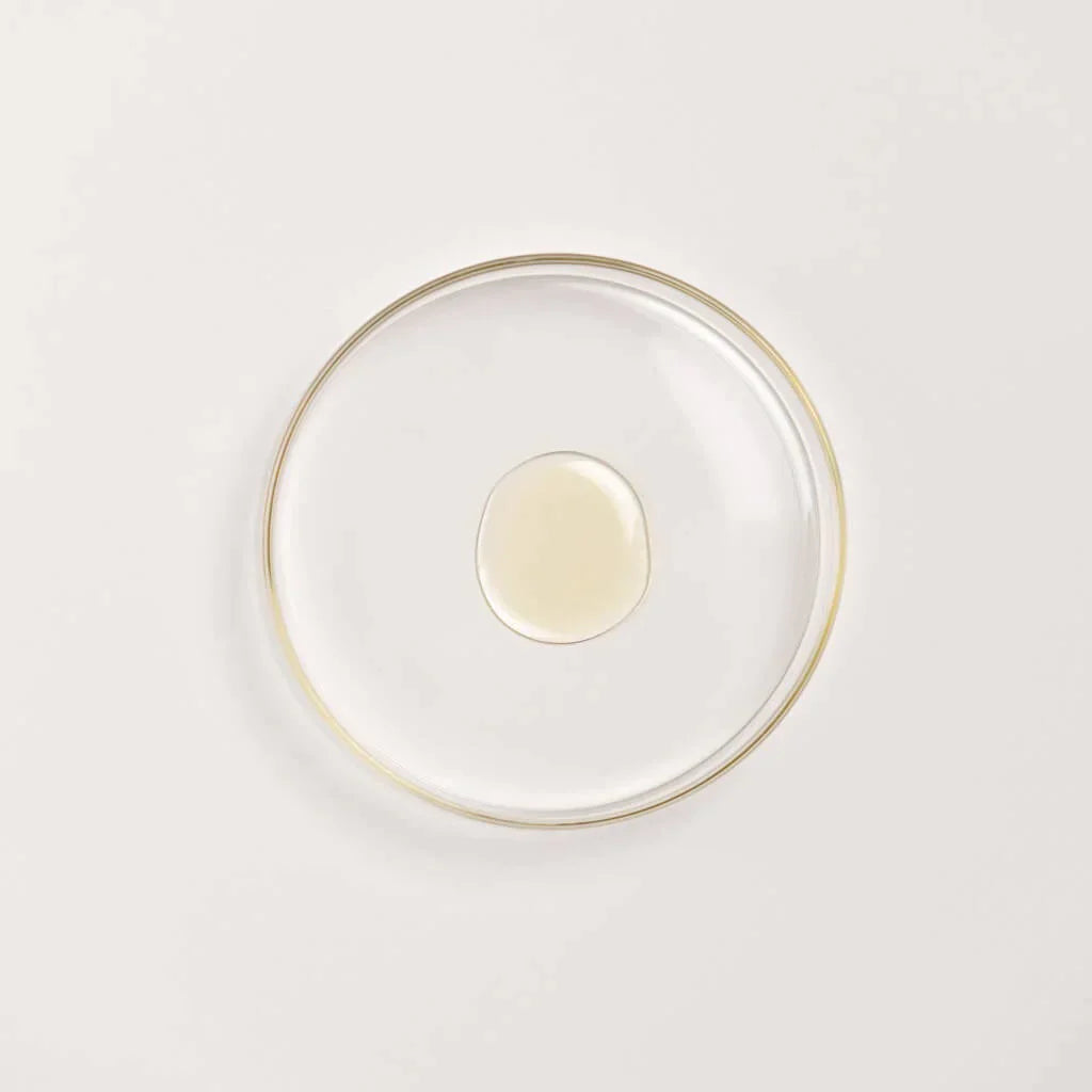 Απόλυτο Πακέτο Bestseller – Τρίο Black Gram + Δίδυμο Ημέρας & Νύχτας