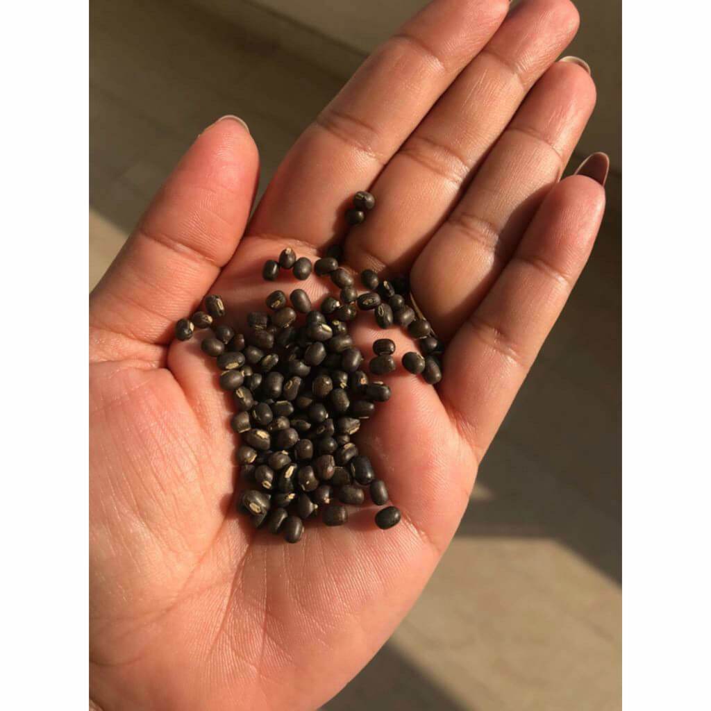 Balaayah Black Gram Booster - Πακέτο των 5